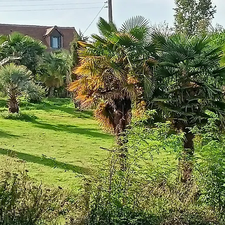 Pensjonat Maison Au Calme Avec Jardin Exotique Pour 7 Personnes