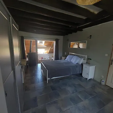 Maison Au Calme Avec Jardin Exotique Pour 7 Personnes Thorigné-sur-Dué