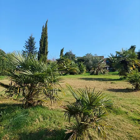 Maison Au Calme Avec Jardin Exotique Pour 7 Personnes Thorigné-sur-Dué