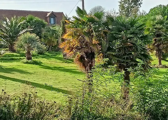 Gasthuis Maison Au Calme Avec Jardin Exotique Pour 7 Personnes
