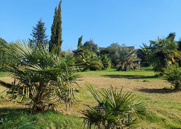 Maison Au Calme Avec Jardin Exotique Pour 7 Personnes Thorigné-sur-Dué